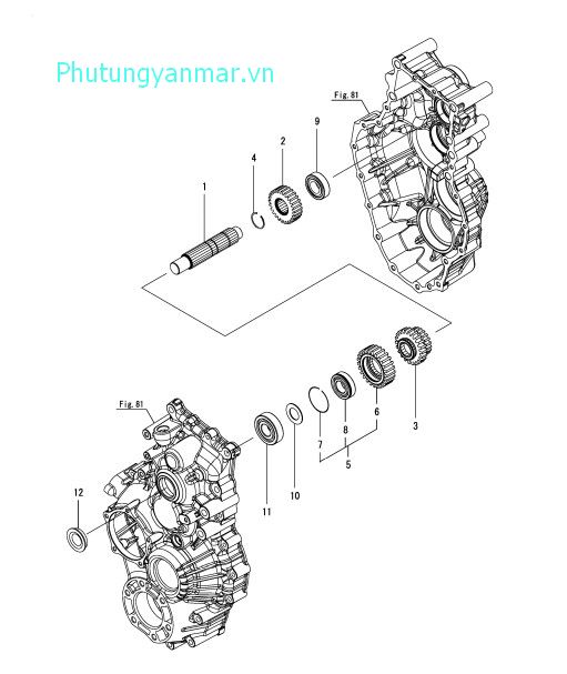 Trục chuyển đổi cấp độ 